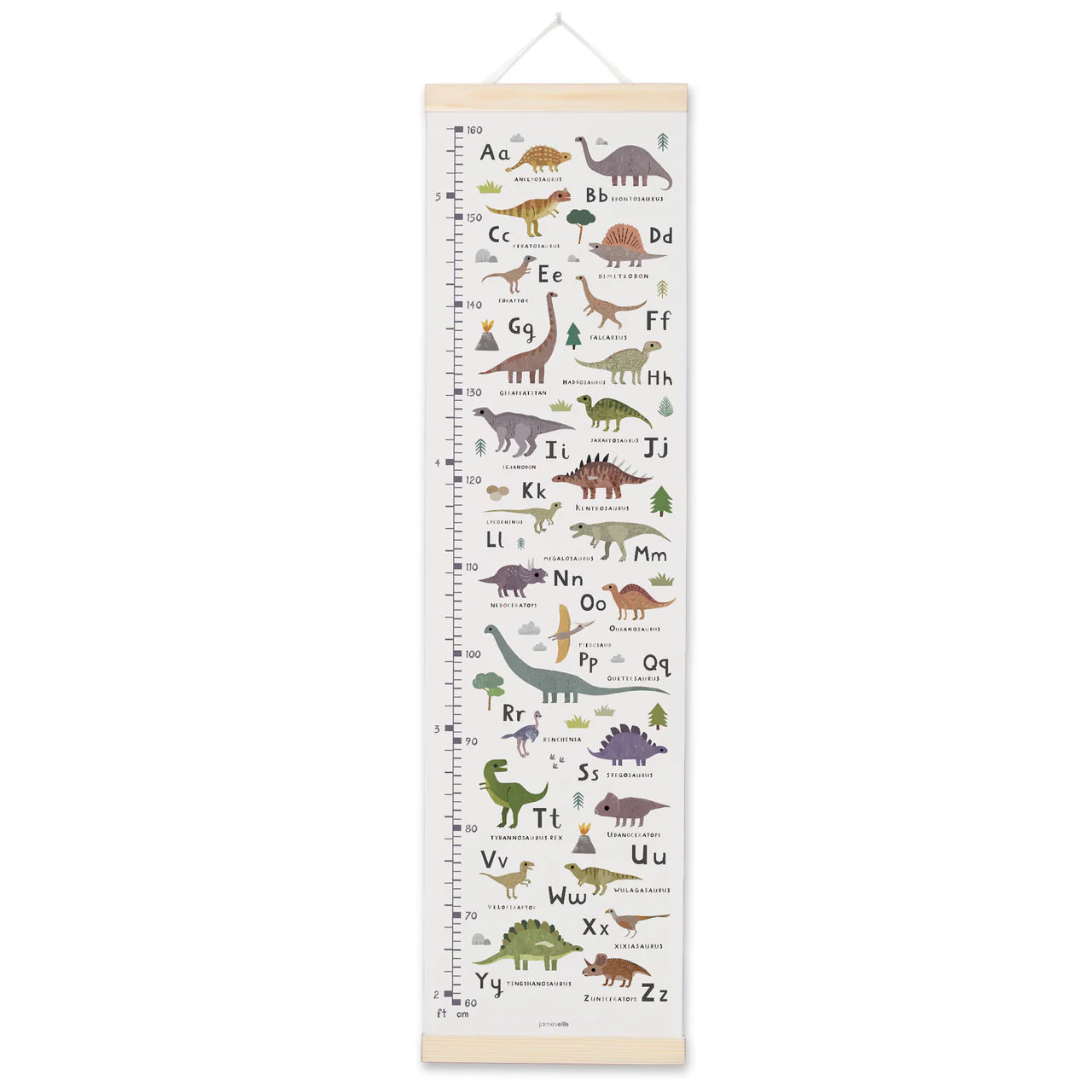 Dinosaur Canvas Height Chart