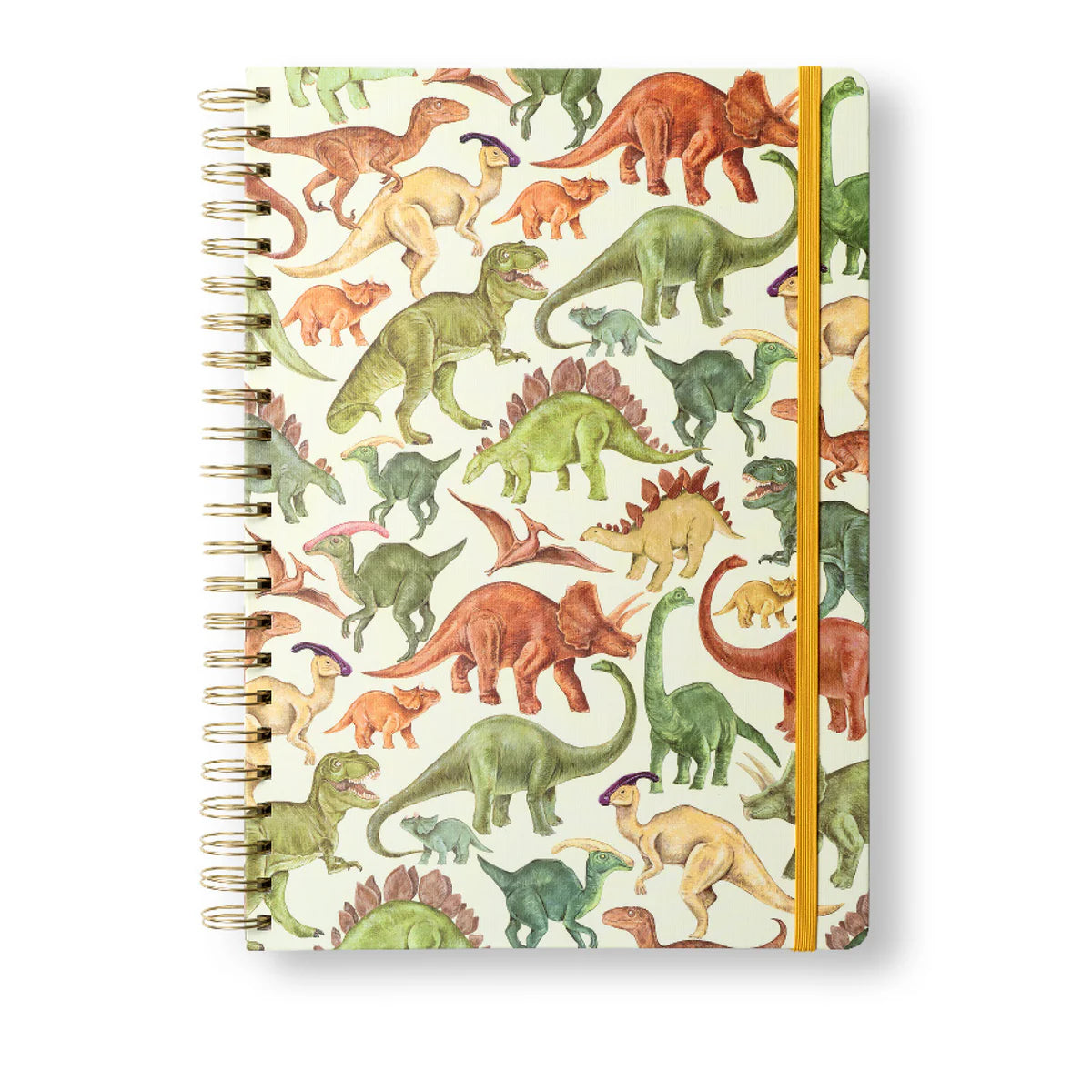Dinosaur A4 Hardback Notebook by The Artfile