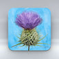 Purple Thistle