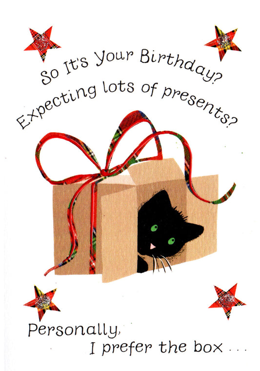Cat in a box