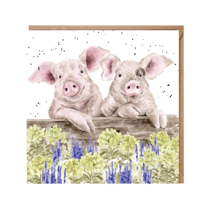 Nosey Neigh Boars