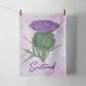 Scotland Thistle Tea Towel by Pureminted